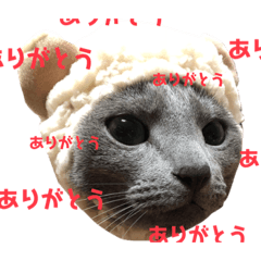 RIKORI_20200128233157