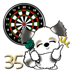 シーズー犬(お誘い・時々ダーツ)35