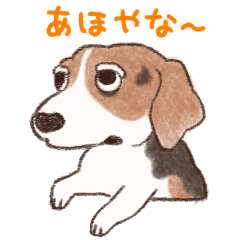 Stupid dog Mikan [Kansai dialect]