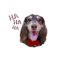 巴豆大寶一家親