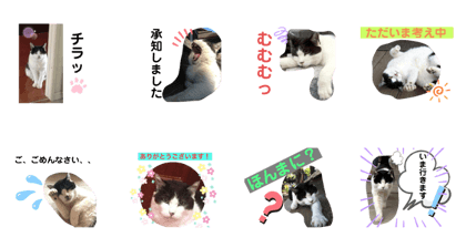 Line クリエイターズスタンプ お母ちゃん猫4