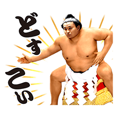 Former YOKOZUNA TAKANOHANA