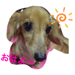 mizuki_20200130082048