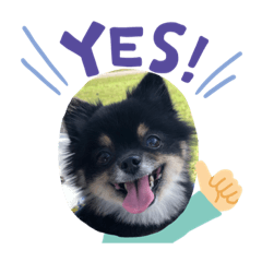 TETSU_20200130193542