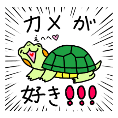 Pretty turtle Midori-chan!! Ver.2