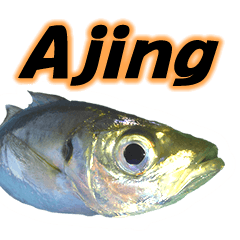 Aji Fishing1