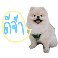 Mr.Budget – LINE stickers | LINE STORE