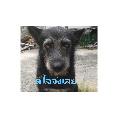 Sad and good