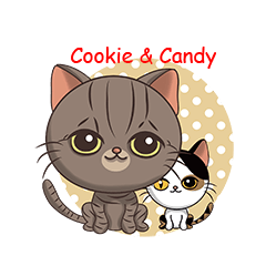 Cookie & Candy(Life)