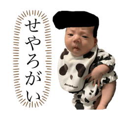 TOMOMI_2020013019264