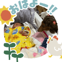 犬まみれ 可愛いわんちゃん大集合 Lineクリエイターズスタンプ Stamplist