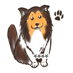 sheltie shetland sheepdog custom