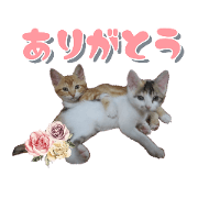 usachan_20200201135657