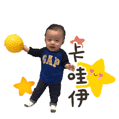 鄭氏家族初登