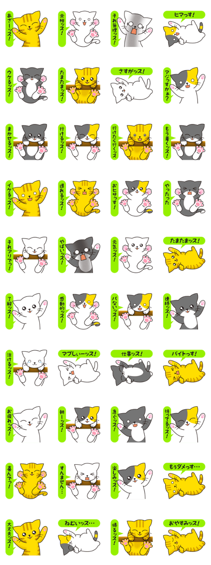 Cat to a friendly conversation Cat to a friendly conversation