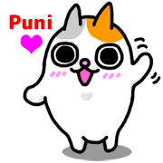 Calico cat Puni Calico cat Puni