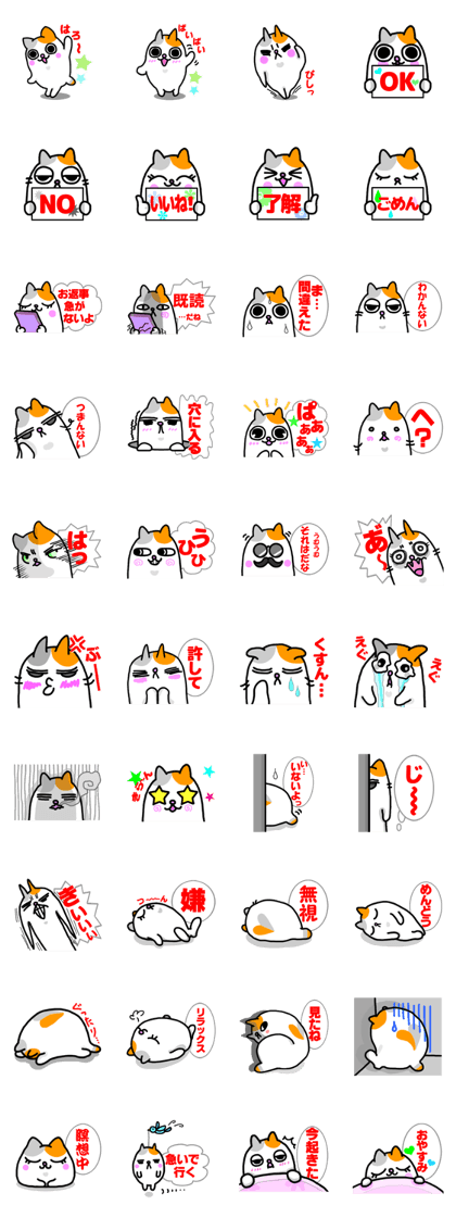 Calico cat Puni Calico cat Puni