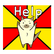 roki&chick roki&chick