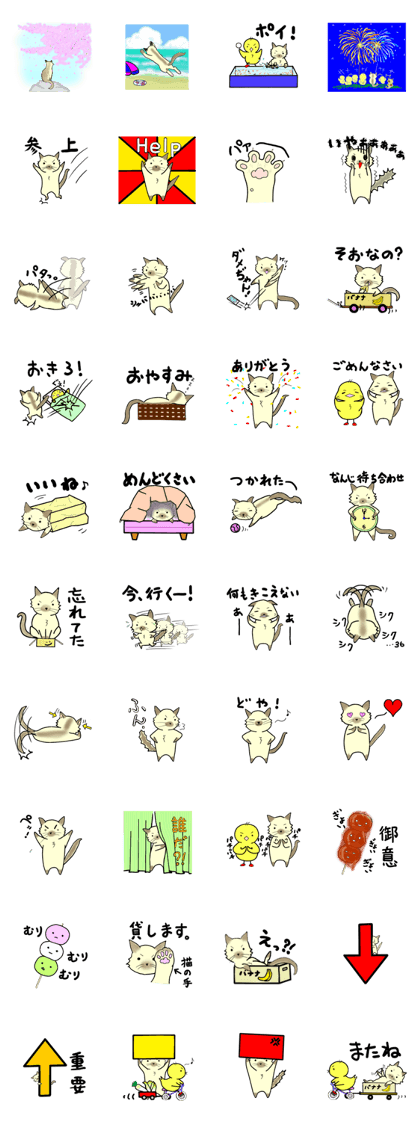 roki&chick roki&chick