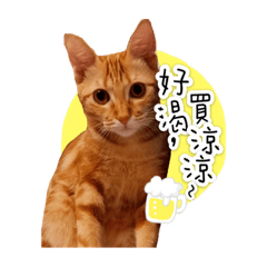 金醬&YORU