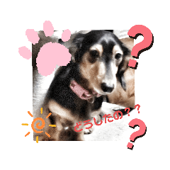 taki_20200131143111
