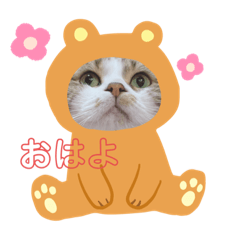 mimi_20200131150403