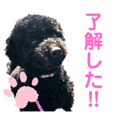 vivichan_htm20200131140012