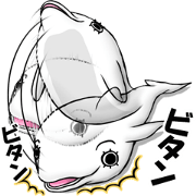 Eyelashes white dolphin Eyelashes white dolphin