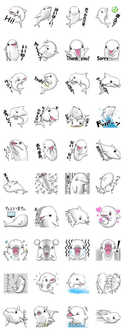 Eyelashes white dolphin Eyelashes white dolphin