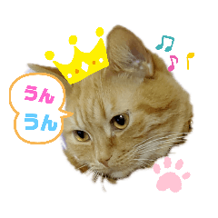 King_20200131140416