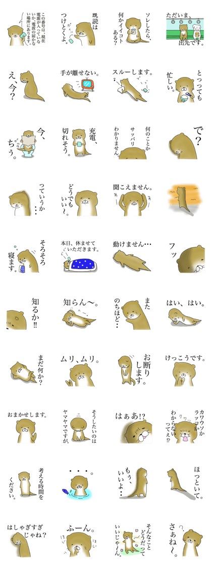 Not accepted Mr. otter