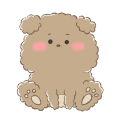 Cute Fluffy Poodle
