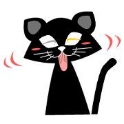 cat odd-eye2 cat odd-eye2