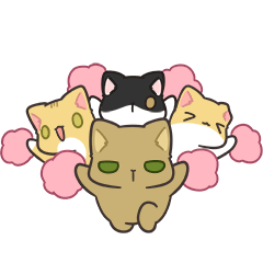 Yongyong Studio : Meow Life