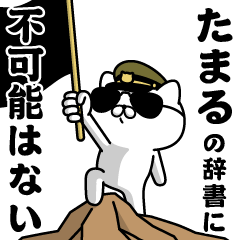"TAMARU"name/Military cat