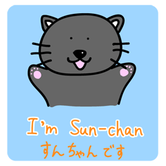 a bilingual cat Sun-chan.