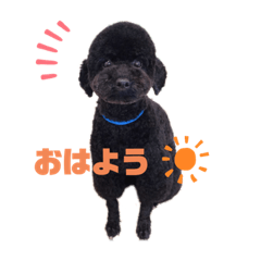 vivi_20200131163342