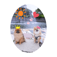 daisyandfriends