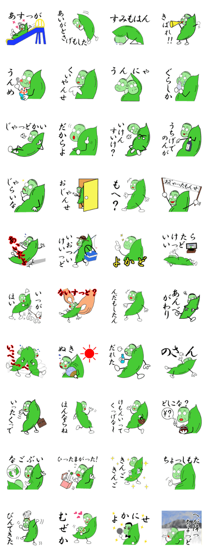 Kagoshima valve broad beans dad of Japan