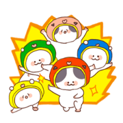 A lop eared Cat&polar bear&panda A lop eared Cat&polar bear&panda