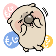 Carefree life of a loose cute wombat. Carefree life of a loose cute wombat.