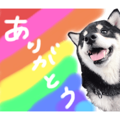 toranosuke_20200131160154