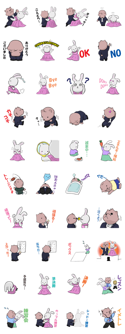 Ballroom dancer Ballroom dancer