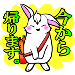 Bangs rabbit 2 honorific Hen