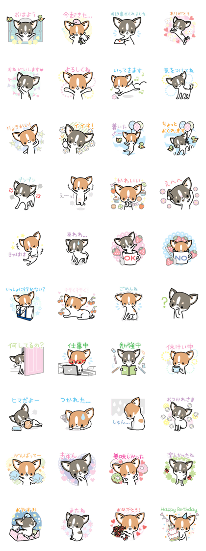 Kawaii Chihuahua (Japanese) Kawaii Chihuahua (Japanese)