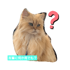 KAITO_20200131183808