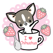 Kawaii Chihuahua (English) Kawaii Chihuahua (English)
