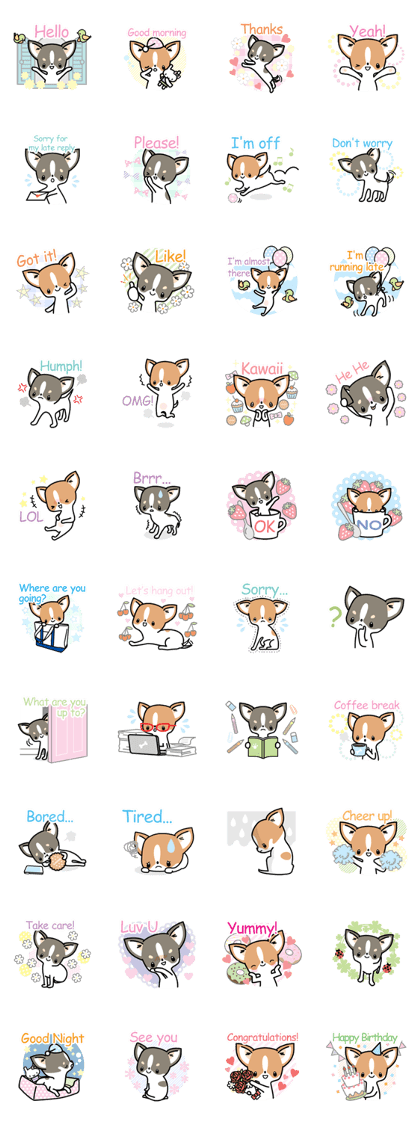 Kawaii Chihuahua (English) Kawaii Chihuahua (English)