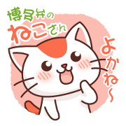 Hakata of cat Hakata of cat