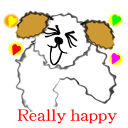 Family dog "marusuke" Family dog "marusuke"